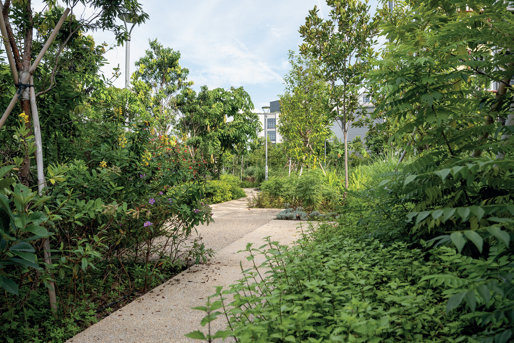 Tampines GreenGlen & GreenCrest Image