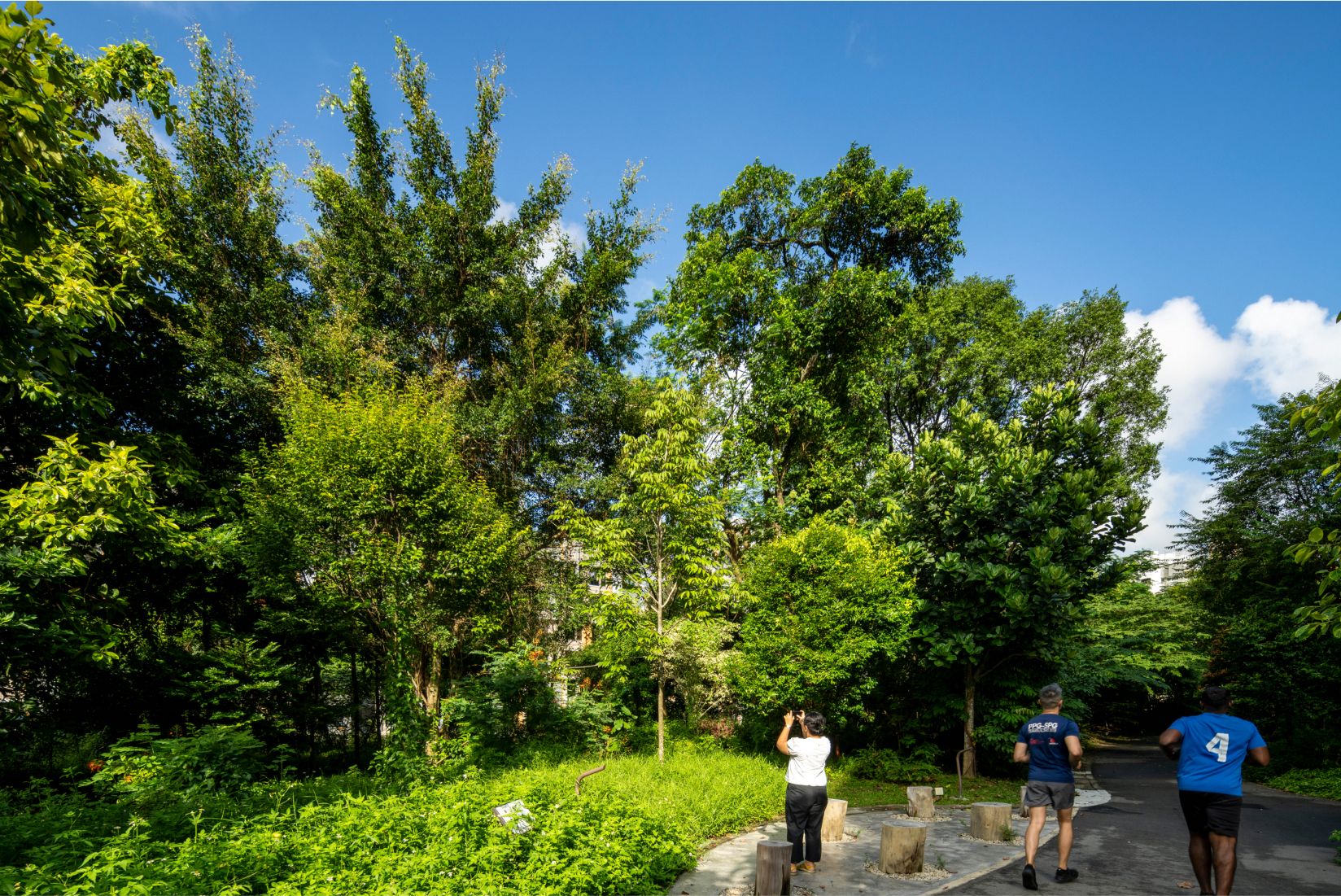 Bidadari (Hillock) Image