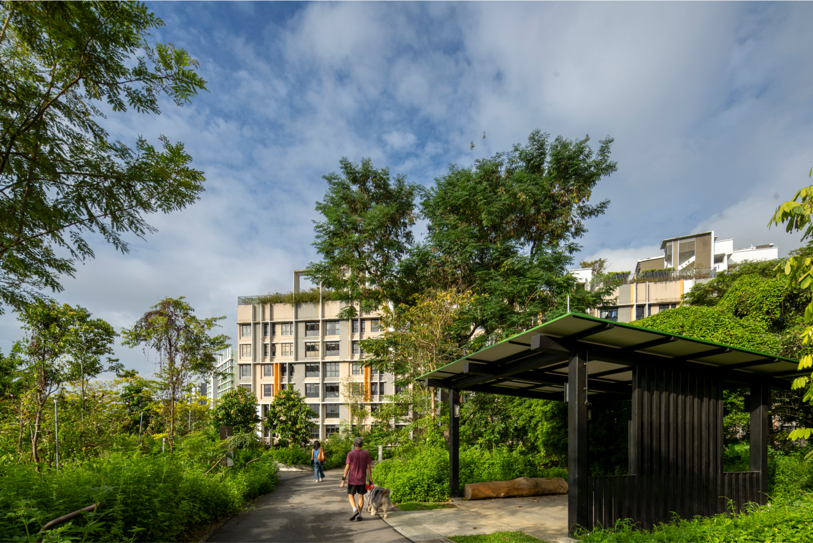 Bidadari (Hillock) Image