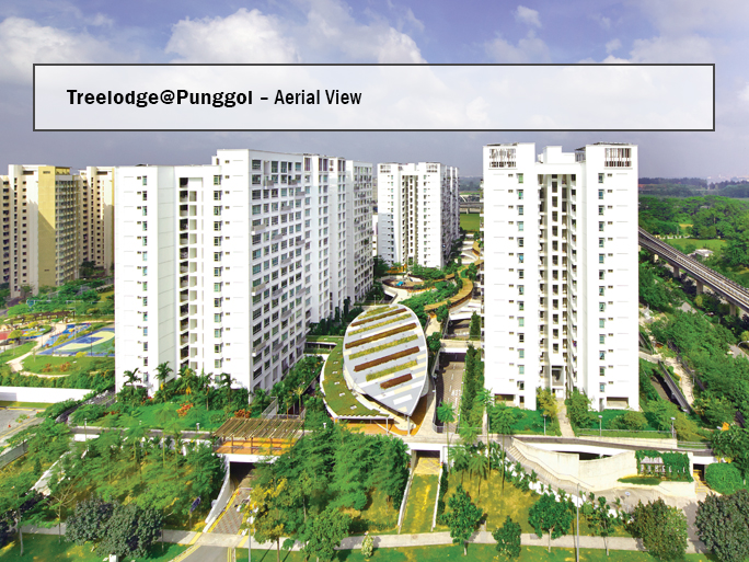 Treelodge@Punggol