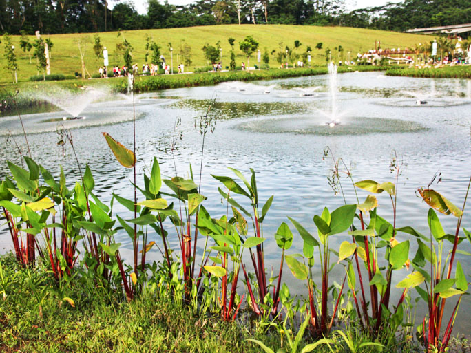 Water Aeration and Eco Drain