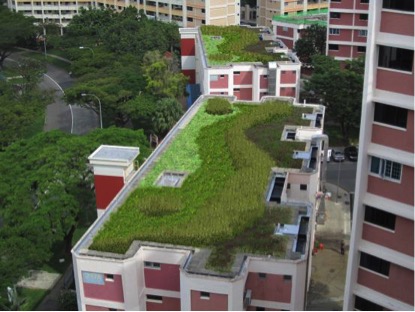 rooftop greenery