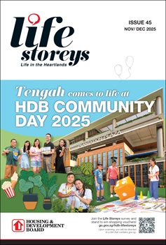 Life Storeys Issue 45 Cover Page