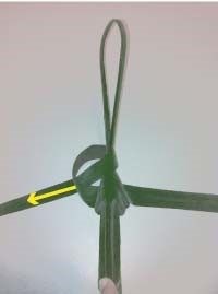 Heartland-Ambassador-grasshopper-step 11