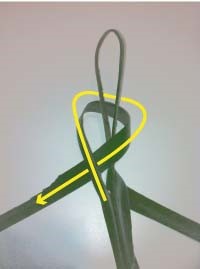 Heartland-Ambassador-grasshopper-step 5