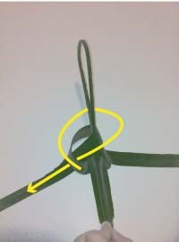 Heartland-Ambassador-grasshopper-step 7