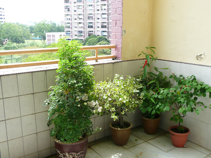 my neighbourhood keep killer litter away