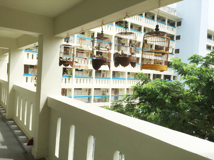 my neighbourhood keep killer litter away