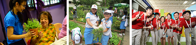 Activities for Teachers