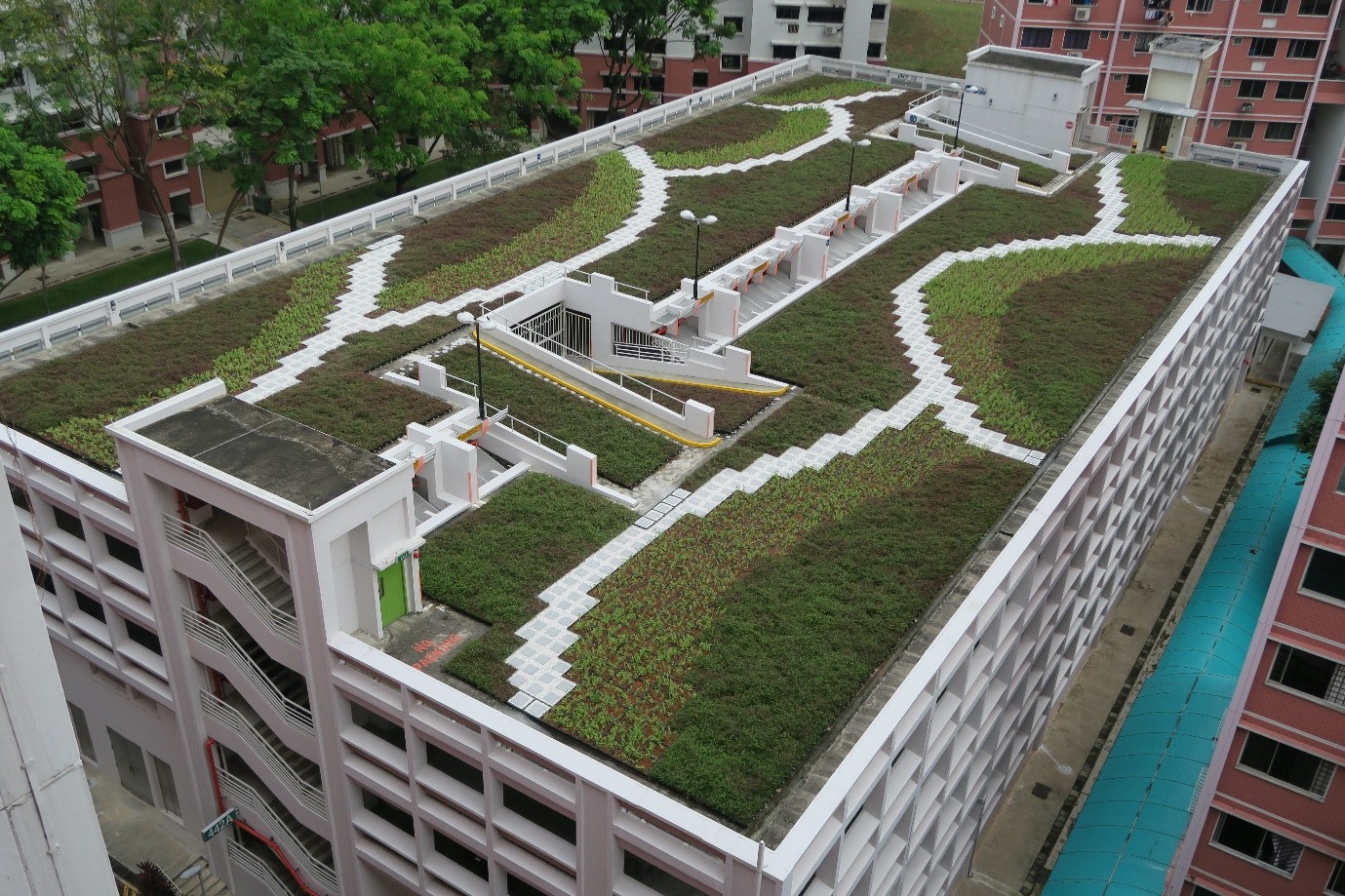 Rooftop greenery