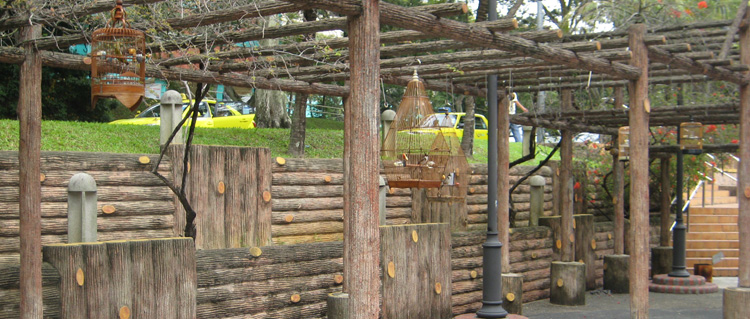 BANNER-35-38-Telok-Blangah-Rise