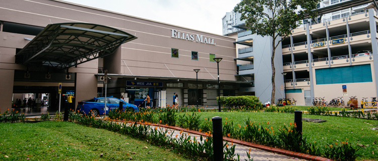 BANNER-ELIAS-MALL