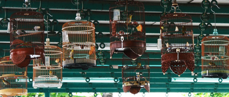 BANNER-SERANGOON-NORTH-VILLAGE