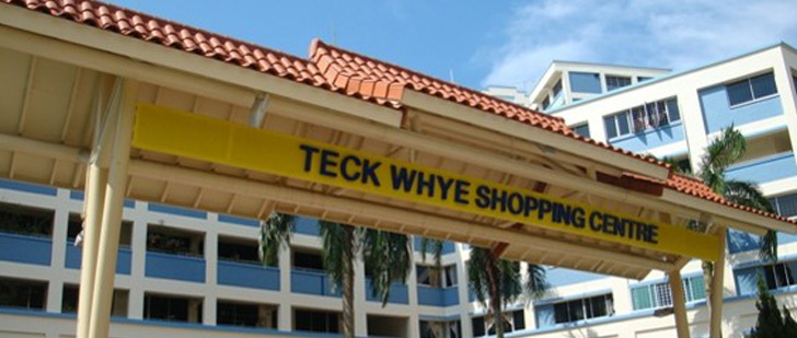 BANNER-TECK-WHYE-SC