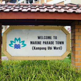 LISTING-KAMPONG-UBI-GREENVILLE