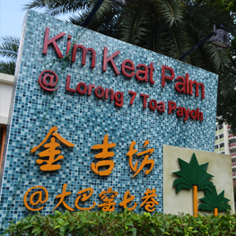 LISTING-KIM-KEAT-PALM