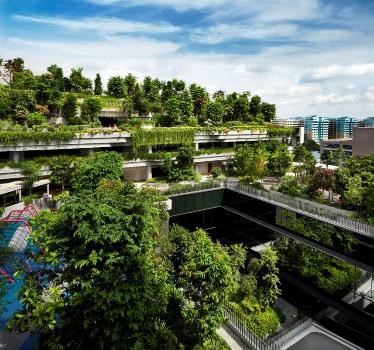 Rooftop community park