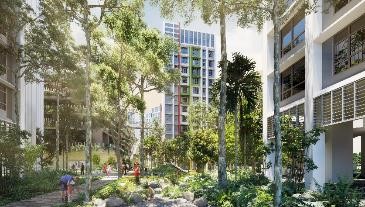 Series of biophillic wellness gardens