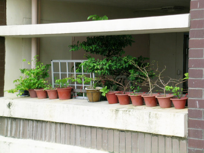 my neighbourhood keep killer litter away