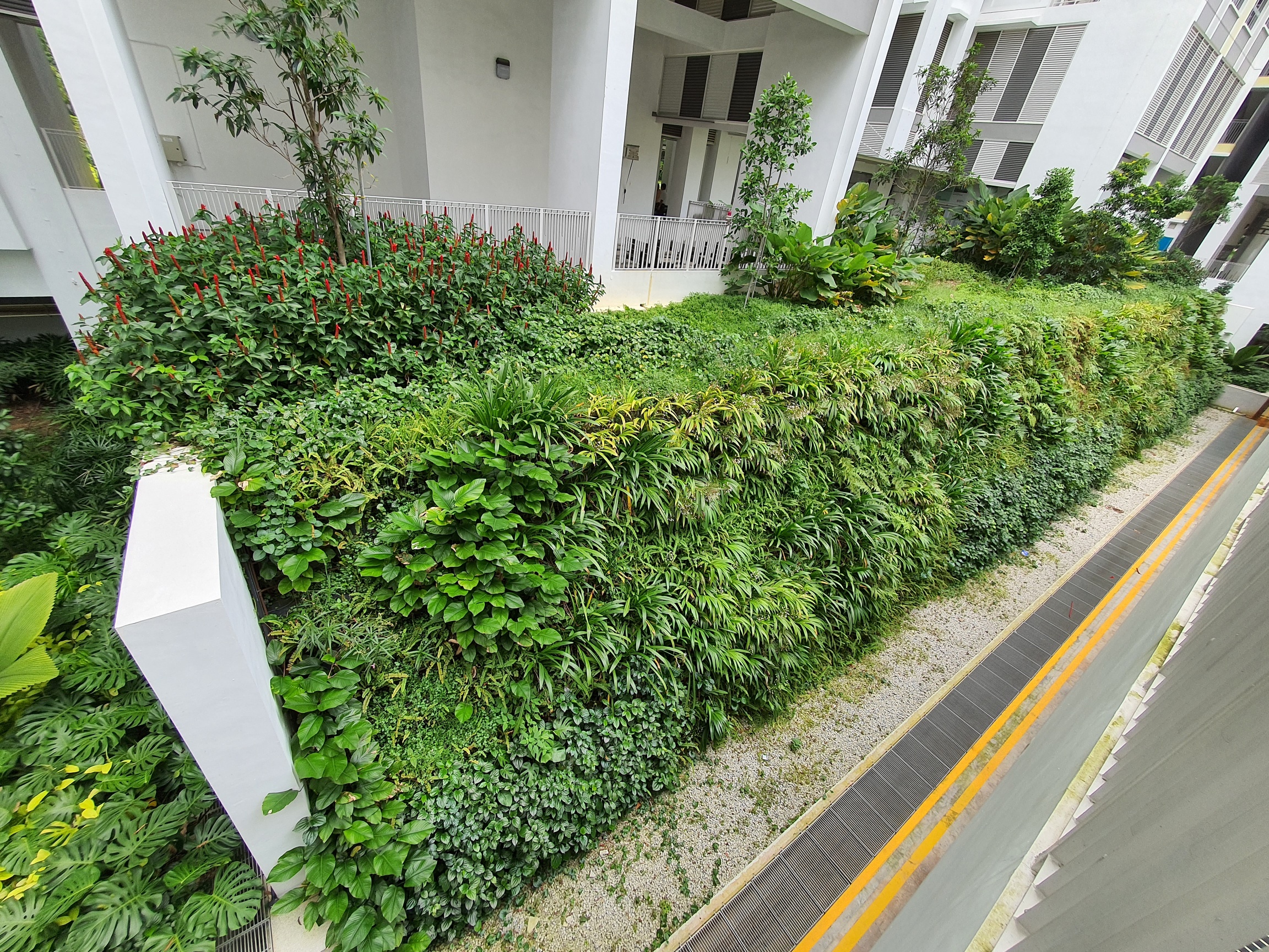 GBS-Northshore-Residences