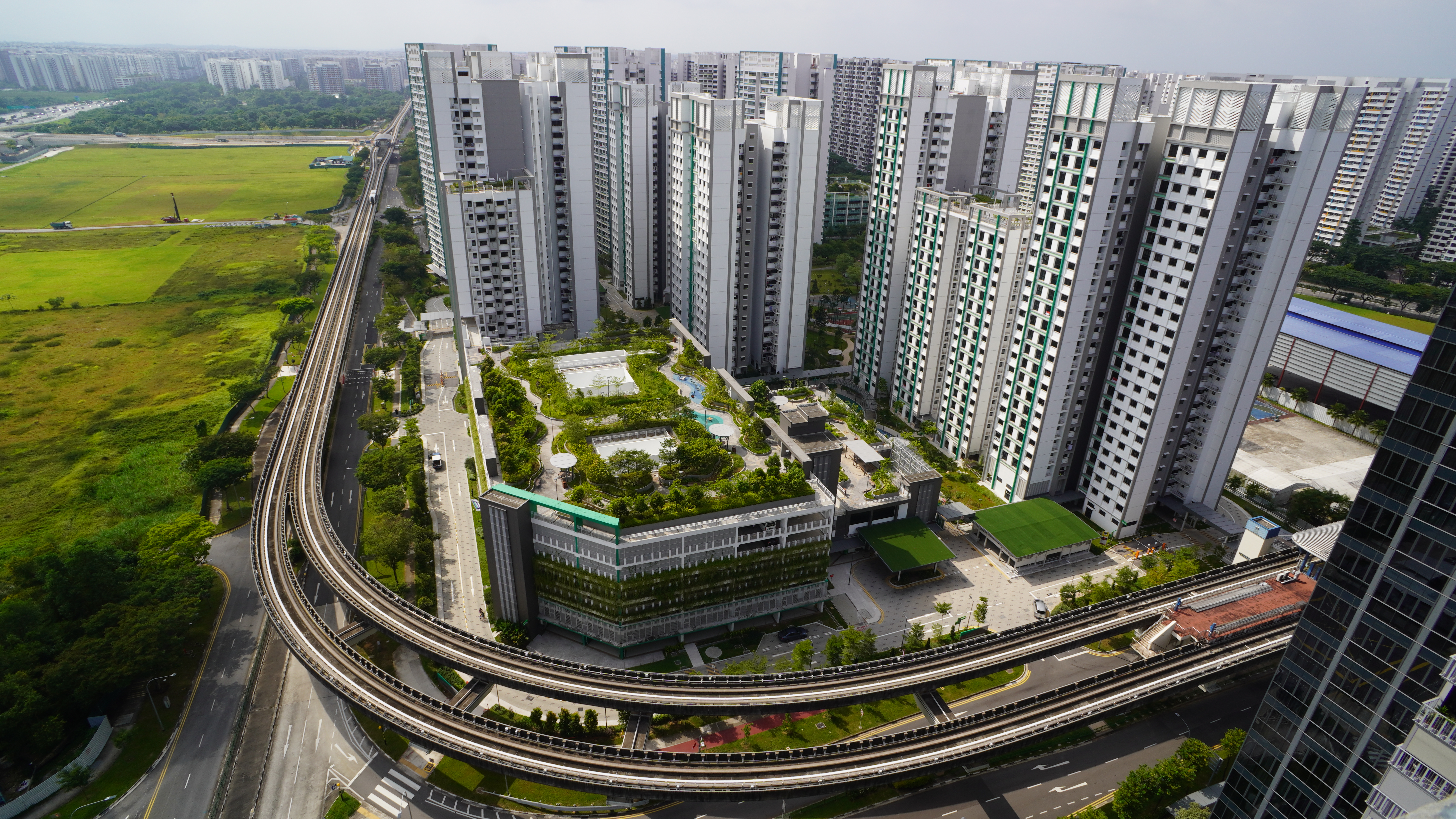 CA_Fernvale Vines 01