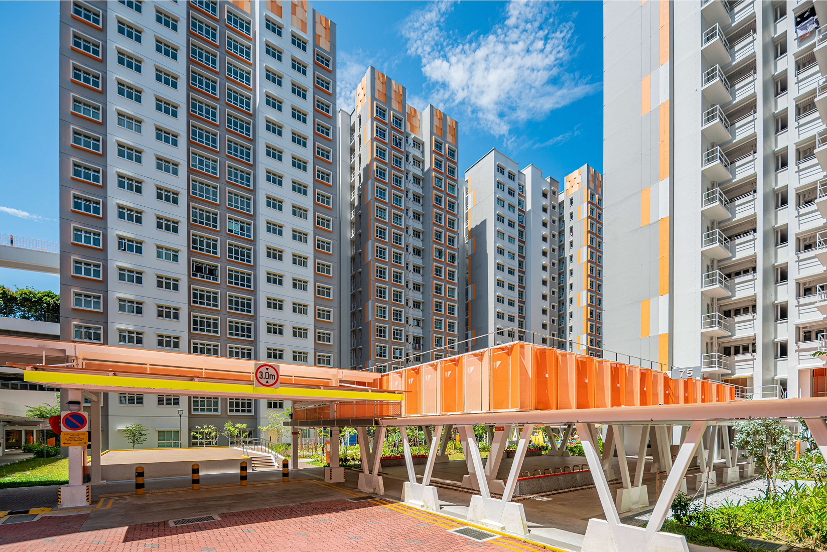 MacPherson Blossom 2