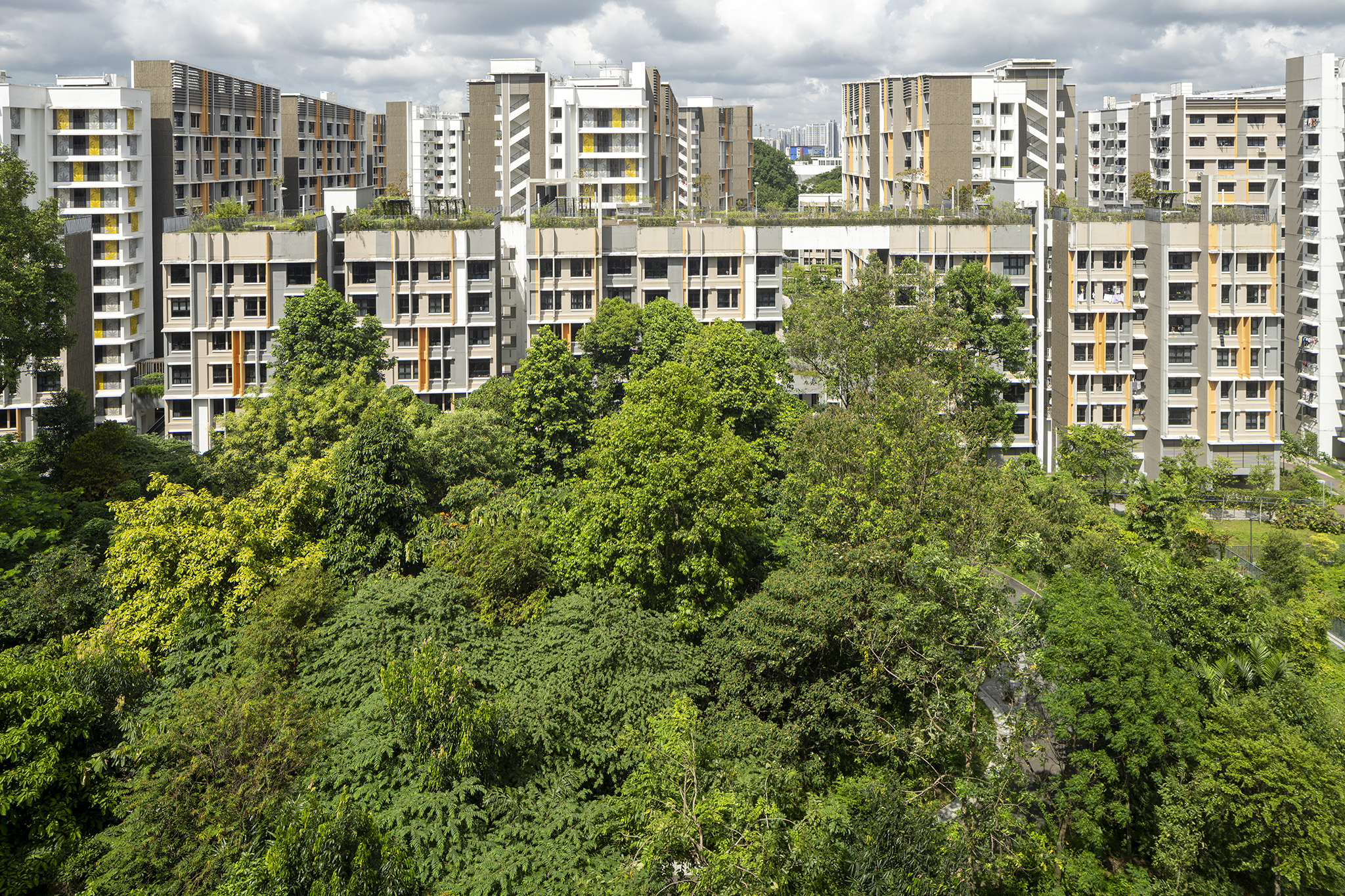 Bidadari (Hillock) Image