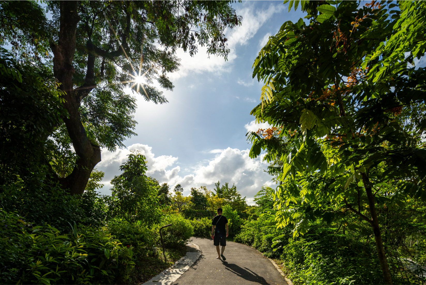 Bidadari (Hillock) Image
