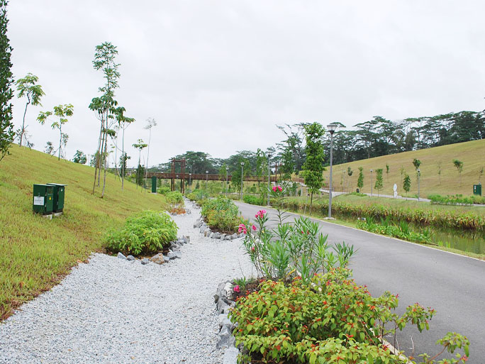 Water Aeration and Eco Drain