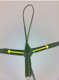 Heartland-Ambassador-grasshopper-step 10