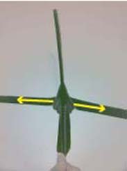 Heartland-Ambassador-grasshopper-step 12