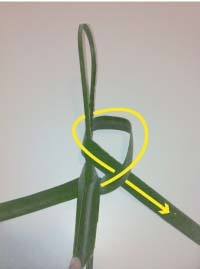 Heartland-Ambassador-grasshopper-step 6