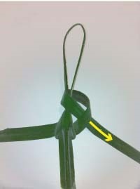 Heartland-Ambassador-grasshopper-step 9