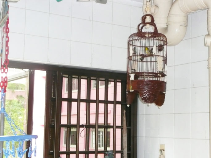 my neighbourhood keep killer litter away