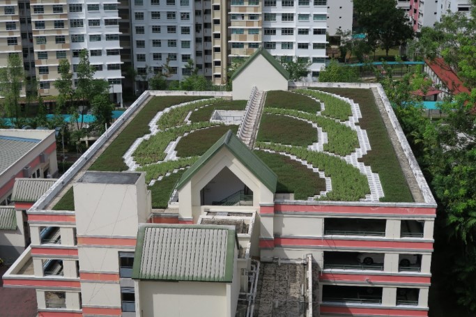 Rooftop greenery