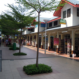 LISTING-440-446-PASIR-RIS-DRIVE-4