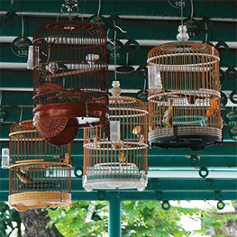 LISTING-SERANGOON-NORTH-VILLAGE