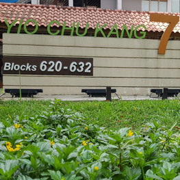 LISTING-YIO-CHU-KANG-VIEW