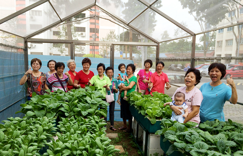 community farming