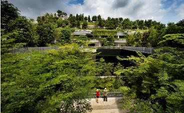 Rooftop community park