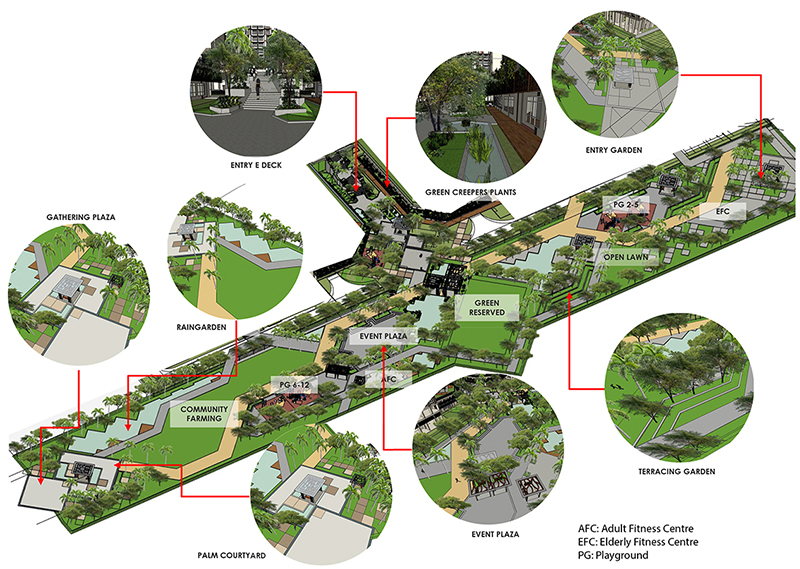 tengah_platation_farmway3